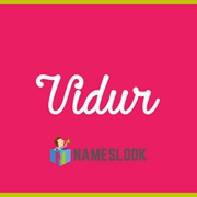 Vidur