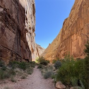 Capitol Gorge, Capitol Reef NP