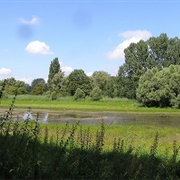 Kühkopf-Knoblochsaue, Germany