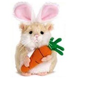 Mazin' Hamster Carrots