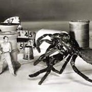 The Incredible Shrinking Man (1957)