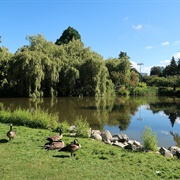 Minoru Park, Richmond, BC, Canada