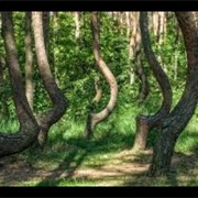 Montana: The Vortex and House of Mystery