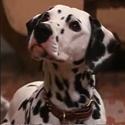 Perdita (1996)