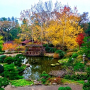 Hakone Gardens