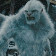 Yeti