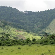 Maiombe Forest, Angola