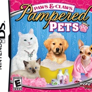 Paws & Claws: Pampered Pets