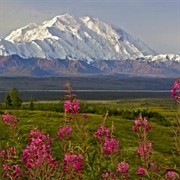 Hike in Denali (Alaska)