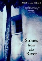 Stones From the River (Ursula Hegi)