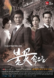 Into the Flames (2014)