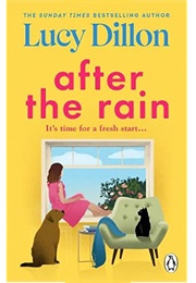 After the Rain (Lucy Dillon)