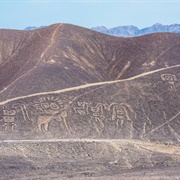 Palpa Geoglyphs, Peru