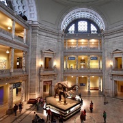 Smithsonian National Museum of Natural History (USA)