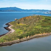 Brooks Island Regional Preserve