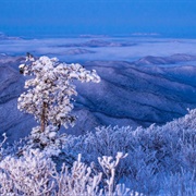 Taebaeksan National Park