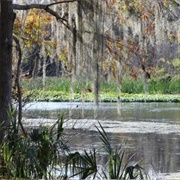 Allen David Broussard Catfish Creek Preserve State Park
