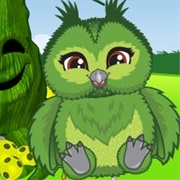 Lil Jolly Owl