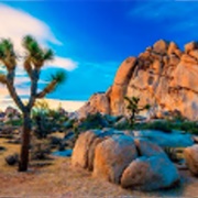 Joshua Tree National Park