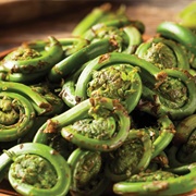 Fiddlehead