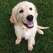 Cosmo (Fuller House)