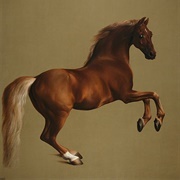 Whistlejacket (George Stubbs)