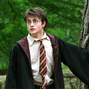 Harry Potter (Harry Potter)