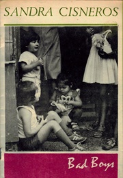 Bad Boys (Sandra Cisneros)