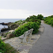 Marginal Way Walk in Ogunquit