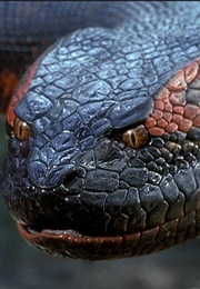 Anaconda (1997)
