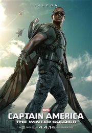 Sam Wilson (Winter Soldier)