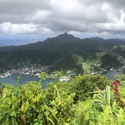 Mount 'Alava Trail, American Samoa NP