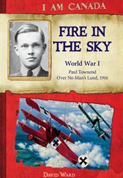 Fire in the Sky: World War I, Paul Townend, Over No Man's Land, 1916 (David Ward)