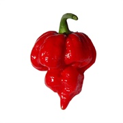 Scorpion Pepper