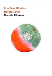 In a Few Minutes Before Later (Brenda Hillman)