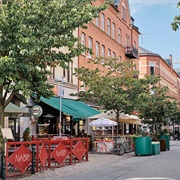Möllevången, Malmö