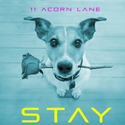 Stay