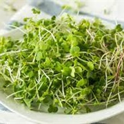 Alfafa Sprouts