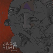 Uyuyan Adam (Ağaçkakan, 2013)