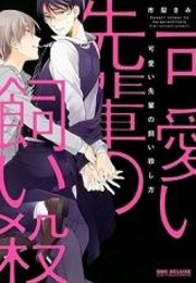 Kawaii Senpai No Kaigoroshikata (Ichinashi Kimi)