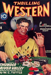 The Border Terror (Bradford Scott)