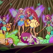 The Amazon Fairies
