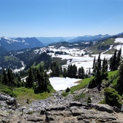 Skyline Trail Loop, Mount Ranier National Park