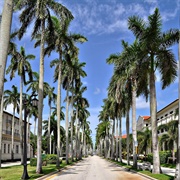 Royal Palm Way, Palm Beach