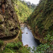 Karangahake Gorge, New Zealand