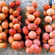 Tomàtiga De Ramellet