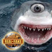 Real or Fake