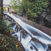 Hawk Lake Historic Log Chute