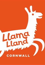Llama Land (Veralee Wiggins)