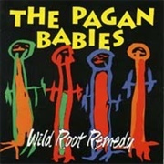 The Pagan Babies - Wild Root Remedy
